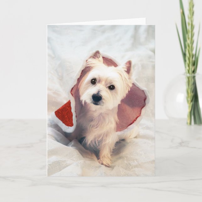 "Westie Claus" Feiertagskarte (Vorderseite)