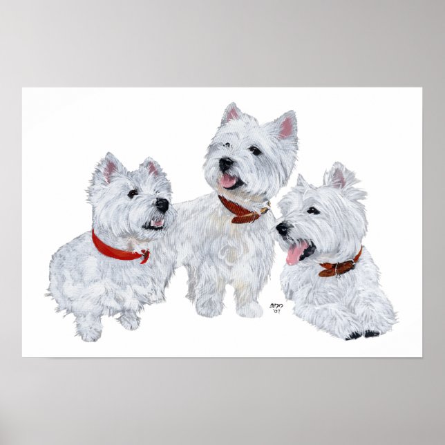 Westie Conference Poster (Vorne)