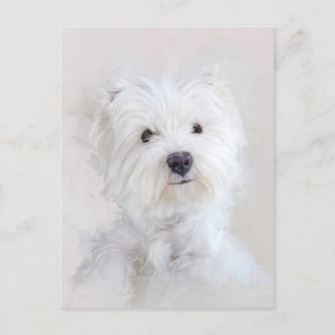 Westie Dog Portrait Postkarte