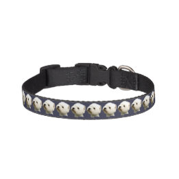 Westie Haustierhalsband