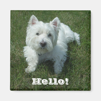 Westie Hello Foto Magnet