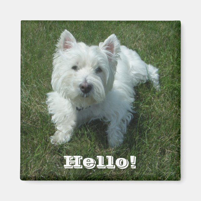 Westie Hello Foto Magnet (Vorne)