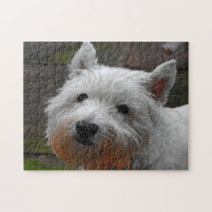 Westie Hogs Jigsaws. Puzzle