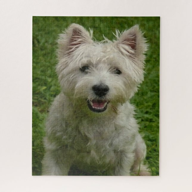 Westie Hogs Jigsaws. Puzzle (Vertikal)
