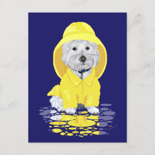 Westie Hund April-Schauer Postkarte