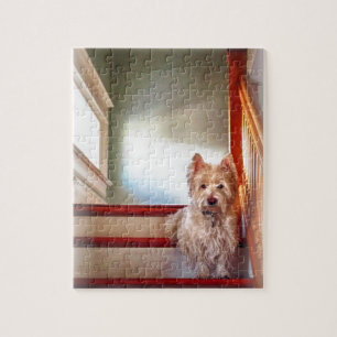 Westie-Hund sitzt auf der Treppe, Vintage-Look Puzzle