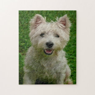 Westie Hunde Puzzles. Puzzle