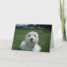 Westie I Karte der Liebe-Sie Mama-glückliche