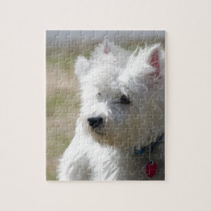 Westie im Frühjahr Puzzle