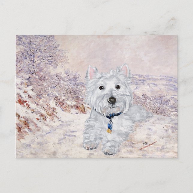 Westie im Winter Postkarte (Vorderseite)