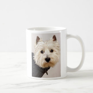 Westie in der Strickjacke auf einer Tasse