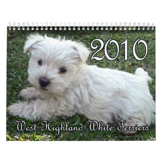 Westie Kalender 2010 (Titelbild)
