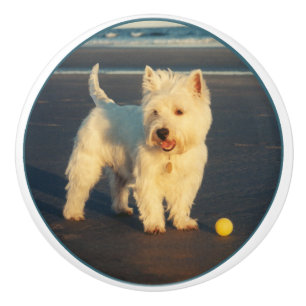 Westie Keramikknauf