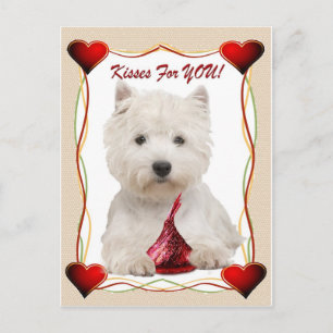 Westie Kisses For You Friendship cards Postkarte