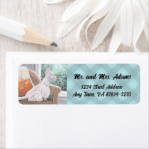 Westie Looking Out a Window