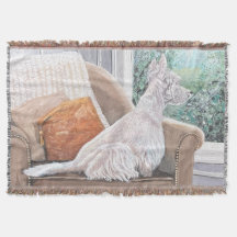 Westie Looking Out a Window