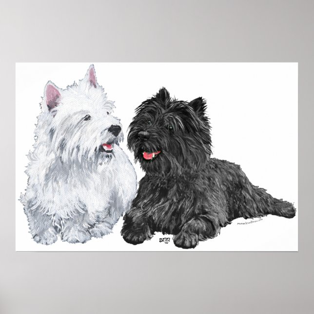 Westie mit einem Black Cairn Terrier Poster (Vorne)