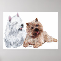 Westie mit einem braunen Cairn Terrier