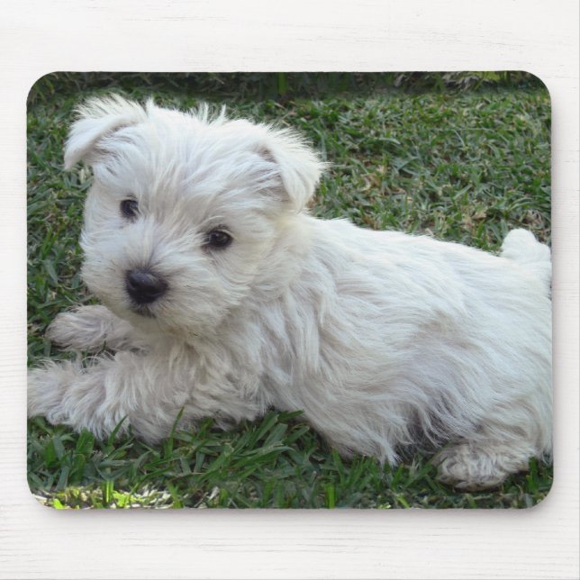 Westie Mousepad (Vorne)