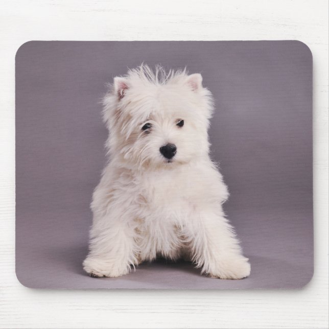 Westie mousepad (Vorne)