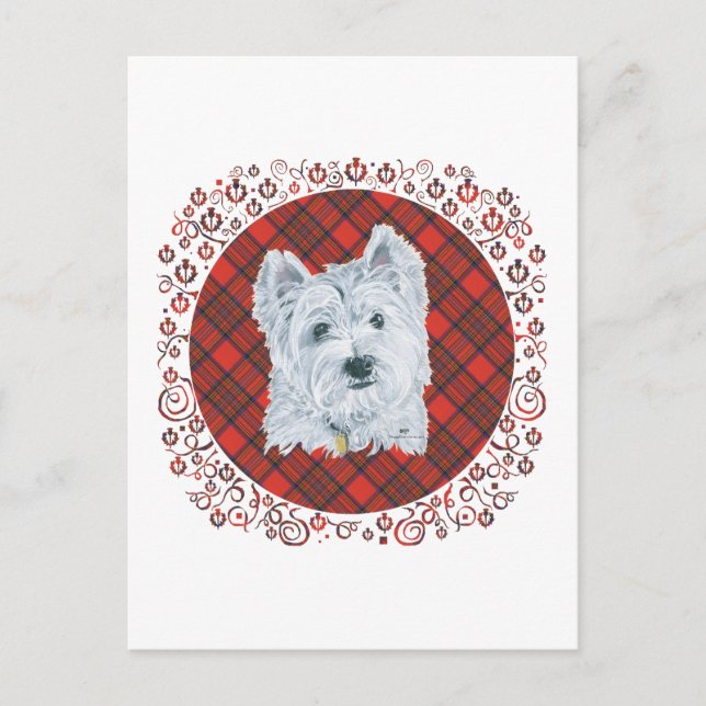 Westie on Tartan Postkarte (Vorderseite)
