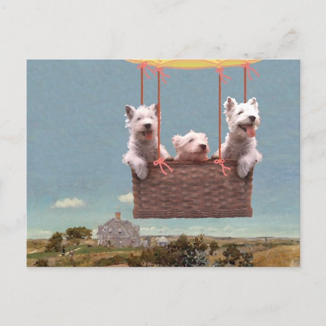 Westie Postcard Postkarte (Vorderseite)