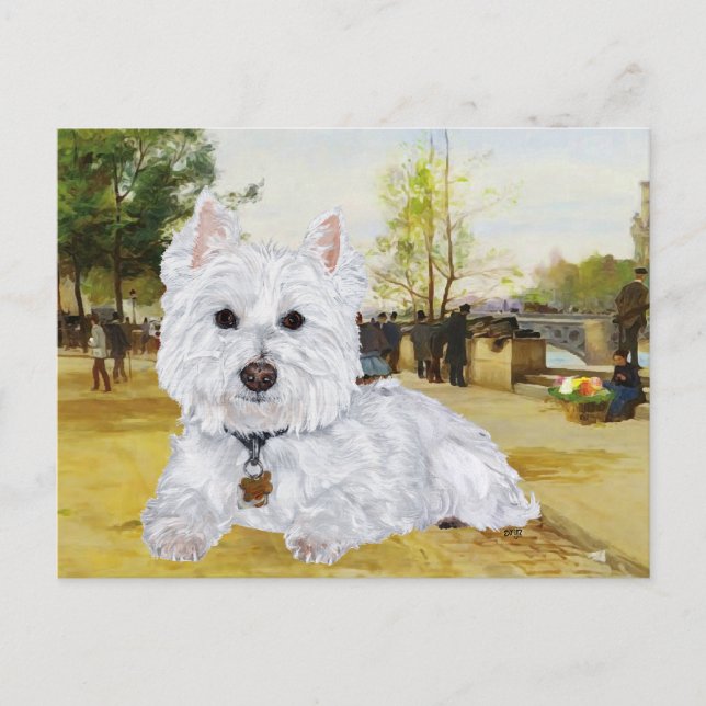 Westie Postcard Postkarte (Vorderseite)
