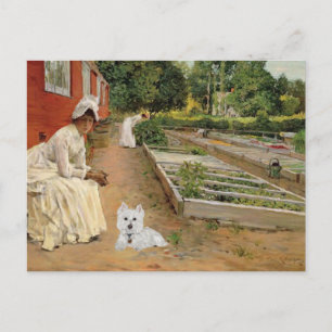 Westie-Postkarte Postkarte