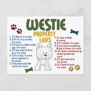Westie Property Laws 4 Postkarte