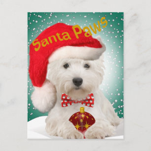Westie Santa Paws Postkarten
