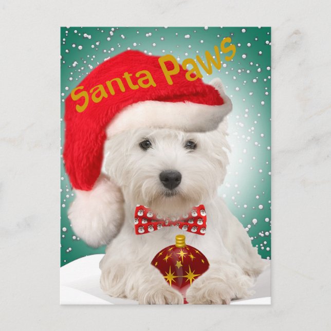 Westie Santa Paws Postkarten (Vorderseite)