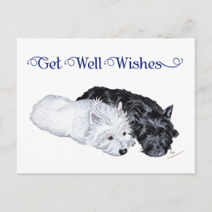 Westie & Scottie entspannt Postkarte