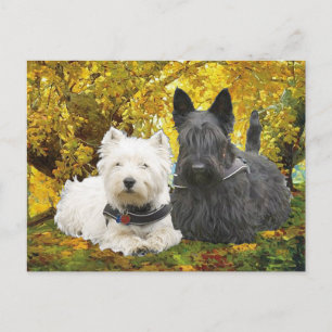 Westie & Scottie im Herbst Postkarte