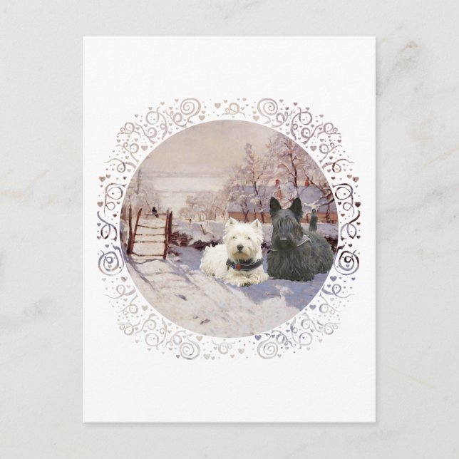 Westie & Scottie Winter Magpie Postkarte (Vorderseite)
