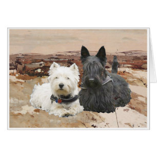 Westie & Scottie Zusammen Herbst