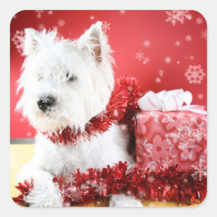 Westie Snowflake Holiday Design Quadratischer Aufkleber