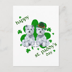 Westie St Patricks Day Postkarte