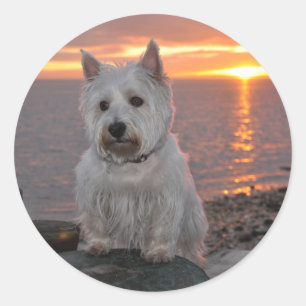 Westie Sunset Runder Aufkleber