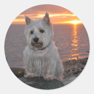 Westie Sunset Runder Aufkleber