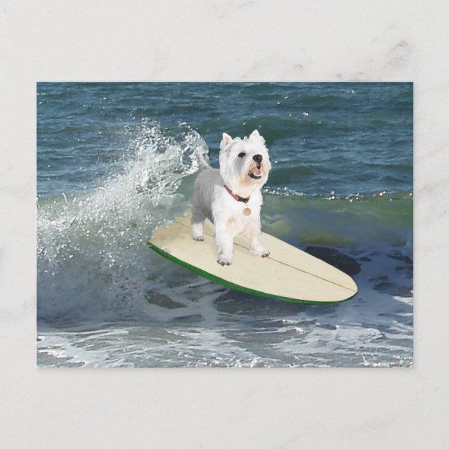 Westie Surfer Postkarte (Vorderseite)
