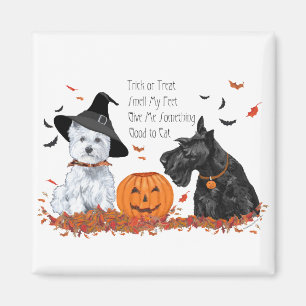 Westie und Scottie Halloween Magnet