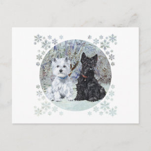 Westie und Scottie in schneelandschaft Postkarte