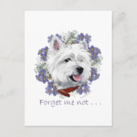 Westie Vergissmeinnicht