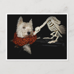 Westie Vulture Skeleton Halloween Postkarte