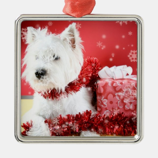 Westie Weihnachtsschneeflocke-Verzierung Silbernes Ornament (Vorne)