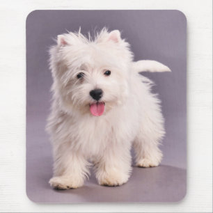 Westie Welpe Mousepad