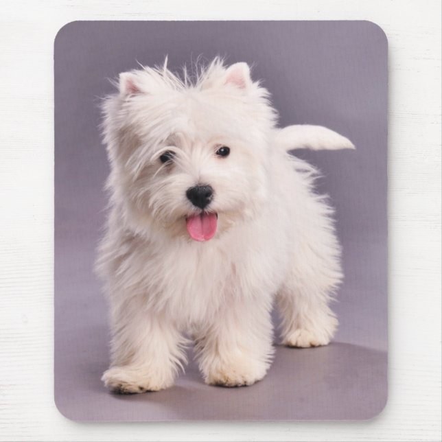 Westie Welpe Mousepad (Vorne)