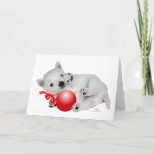 Westie-Welpen Weihnachts-Spielzeit Feiertagskarte
