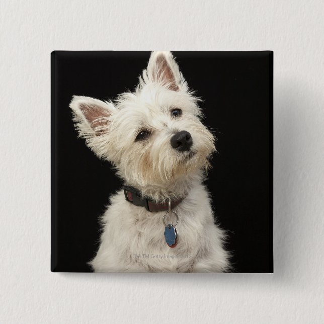 Westie (West Highland Terrier) mit Kragen Button (Vorderseite)