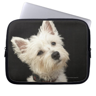 Westie (West Highland Terrier) mit Kragen Laptopschutzhülle